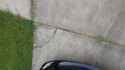 VID_20250621_080601694~2_thumb.jpg