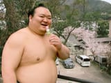 Takarafuji