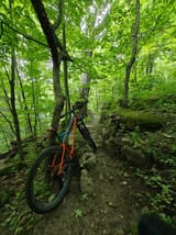 IMG_20250625_165025