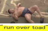 74th Yokozuna