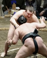 img_fa8f3febe0