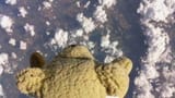 ted-bull-stratos