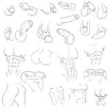 cocks_trace8
