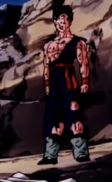 i-hope-we-get-the-half-shirtless-battle-damaged-gohan-in-v0-wva5r1lrg47d1