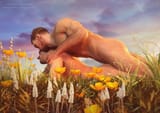 hansrysex015