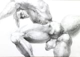 Bunny boy is a drawing by hiroyuki KAWANO 