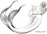 Merman3ab_Harry_Bush03b__anonib09:18:07